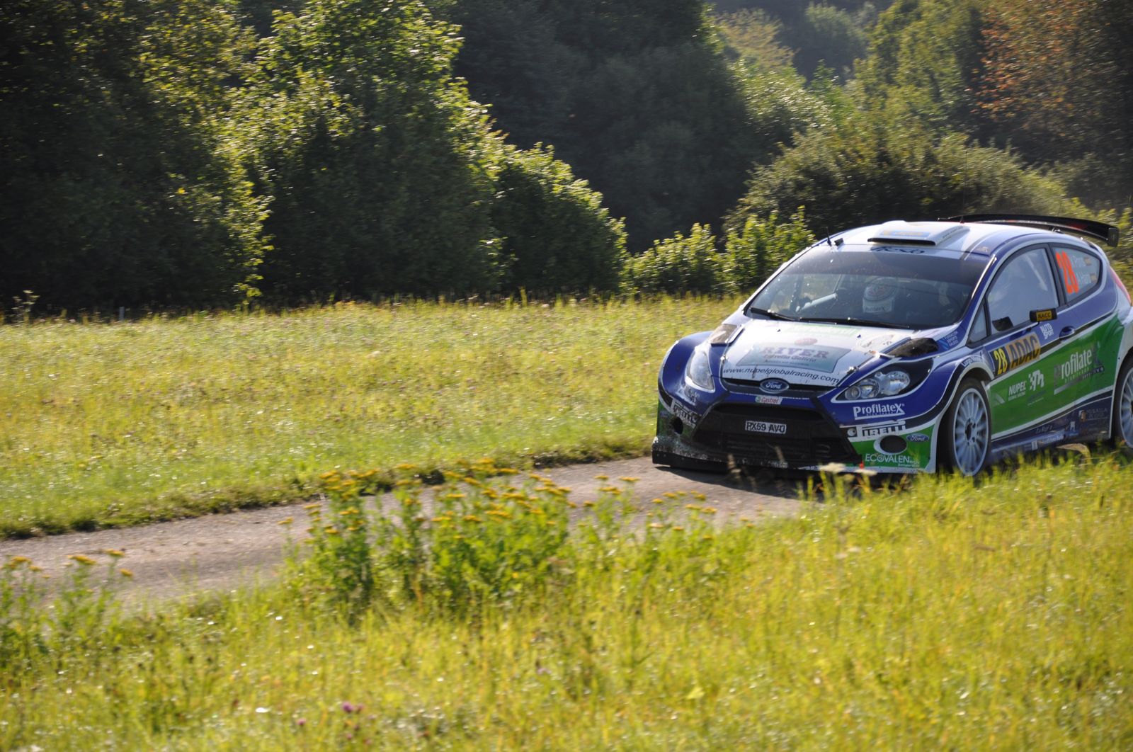 WRC-D 21-08-2010 287 .jpg